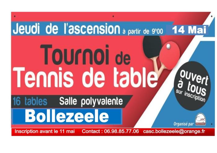 Tournoi tennis de Table